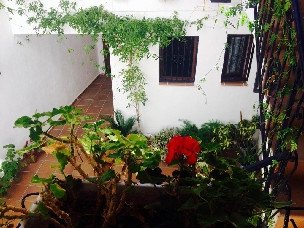 Casa Callejon De Echevarria Granada Buitenkant foto