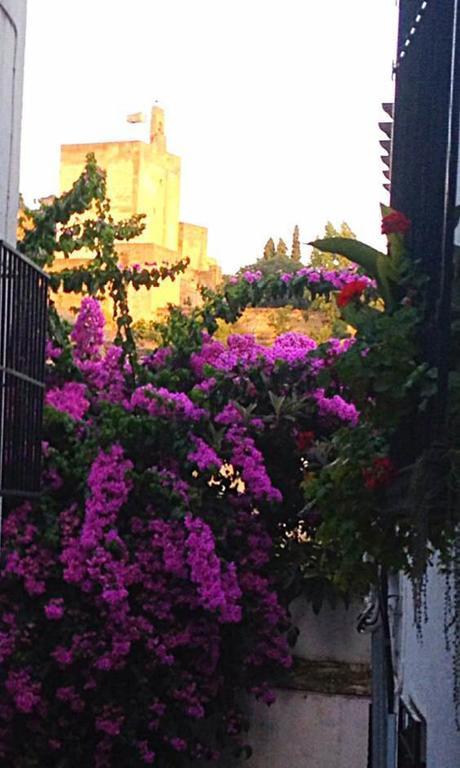 Casa Callejon De Echevarria Granada Buitenkant foto